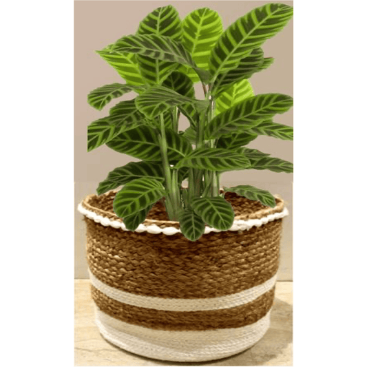 BRAIDED JUTE PLANTER